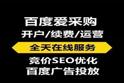 百度竞价代理全攻略：成功案例分享