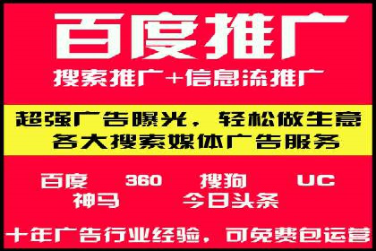 XX行业竞价广告的投放策略与效果分析